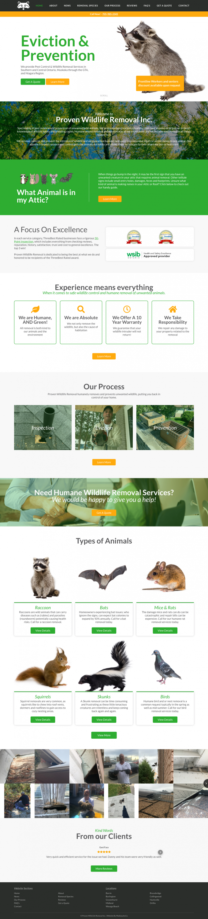 Proven Wildlife Removal